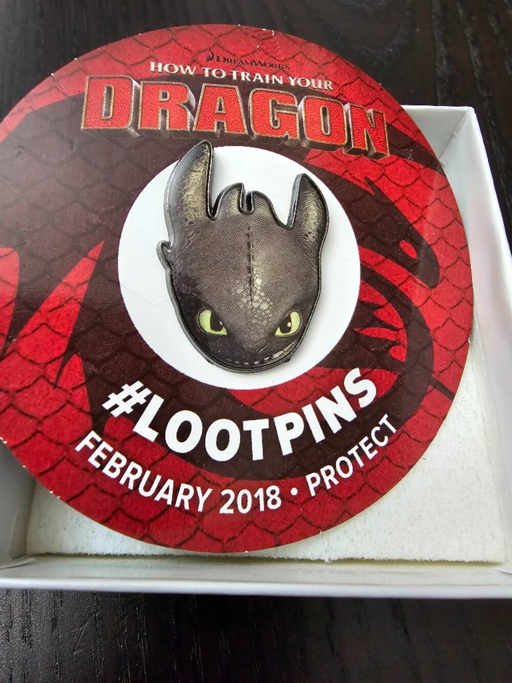 Loot Crate How to Train your Dragon Pin! New!